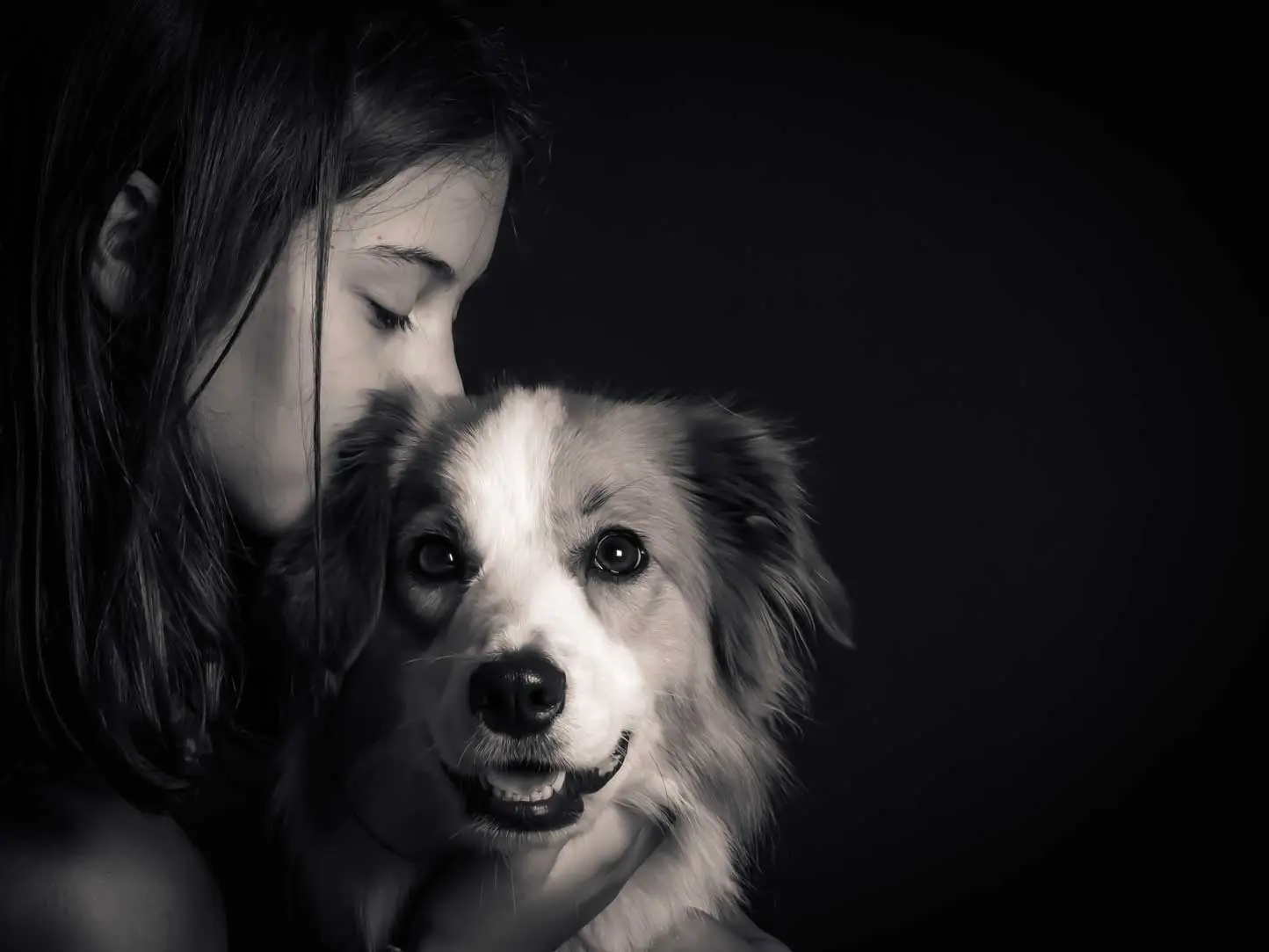 Photo chien calin bisou