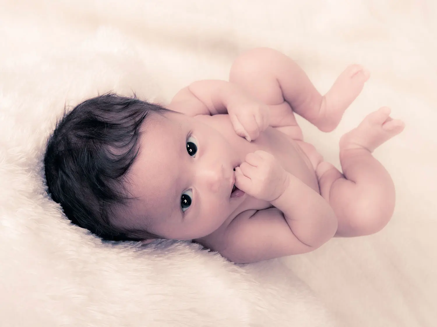 Photos Naissance Nancy Metz 14